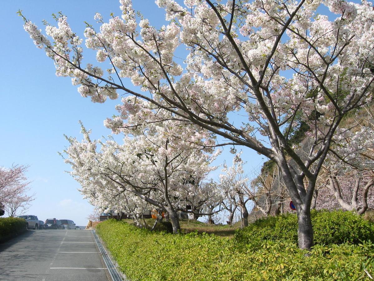 Koibito Misaki Pension Marine Mates Izu  Bagian luar foto
