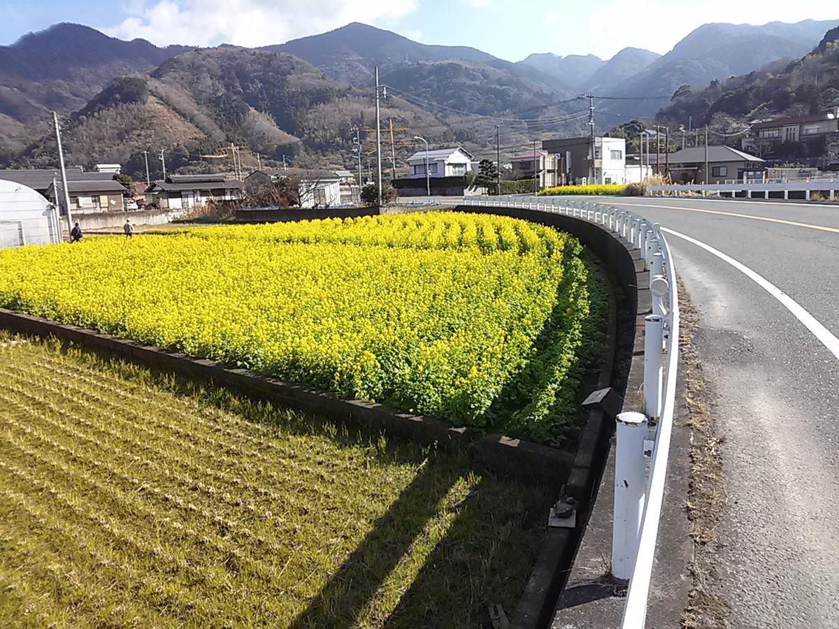 Koibito Misaki Pension Marine Mates Izu  Bagian luar foto